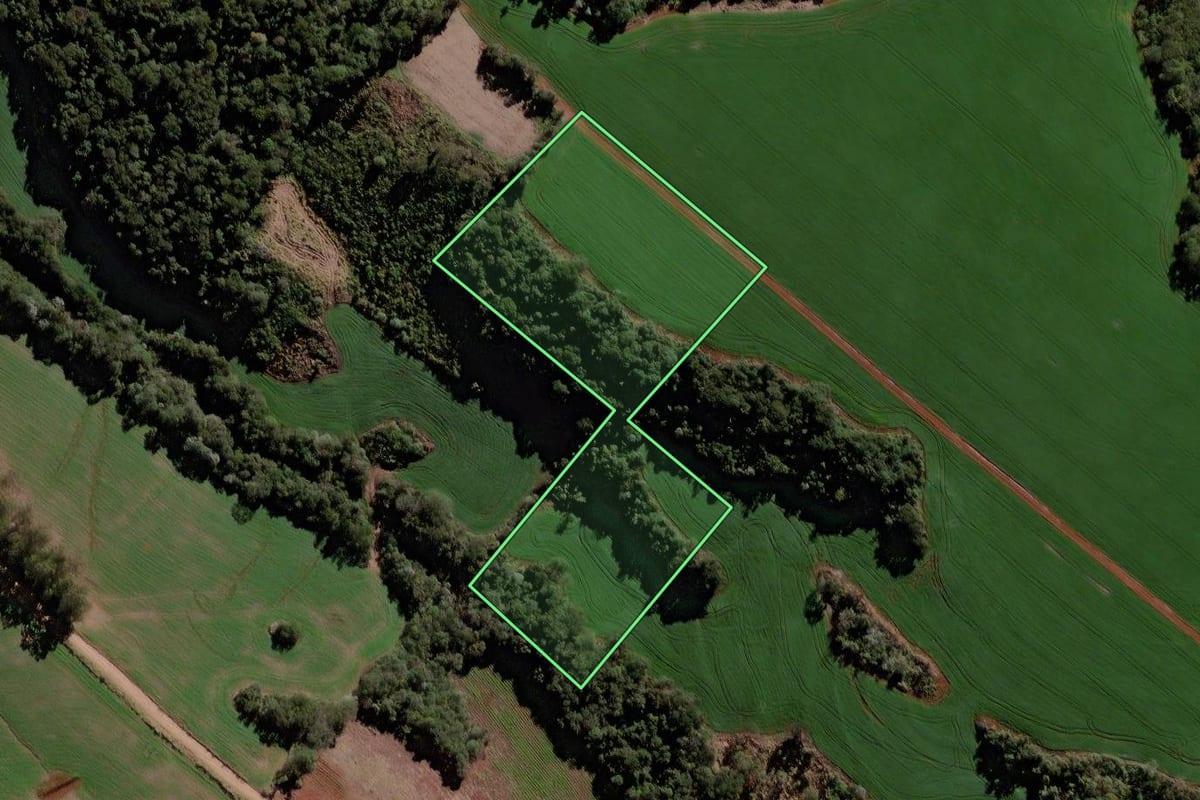 Imagem de satélite do imóvel rural em Iretama (PR), com o contorno declarado no CAR desenhado por cima.