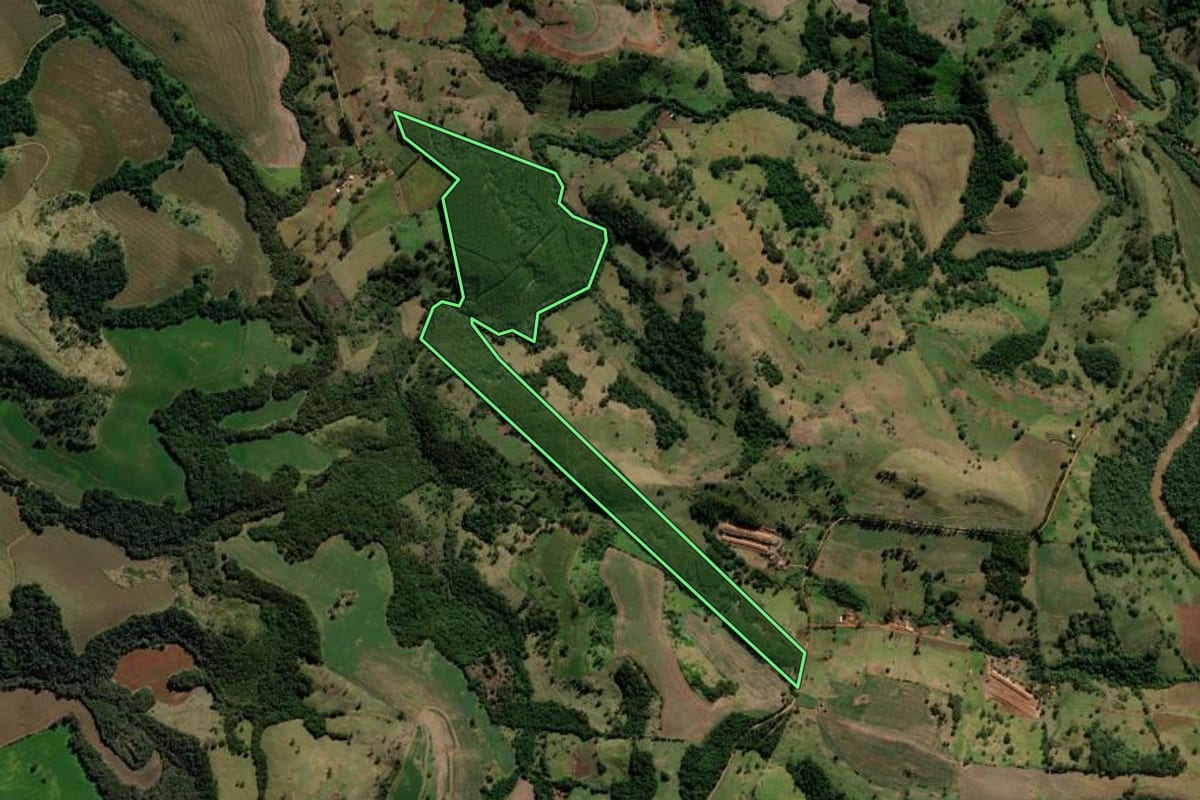 Imagem de satélite do imóvel rural em Iretama (PR), com o contorno declarado no CAR desenhado por cima.