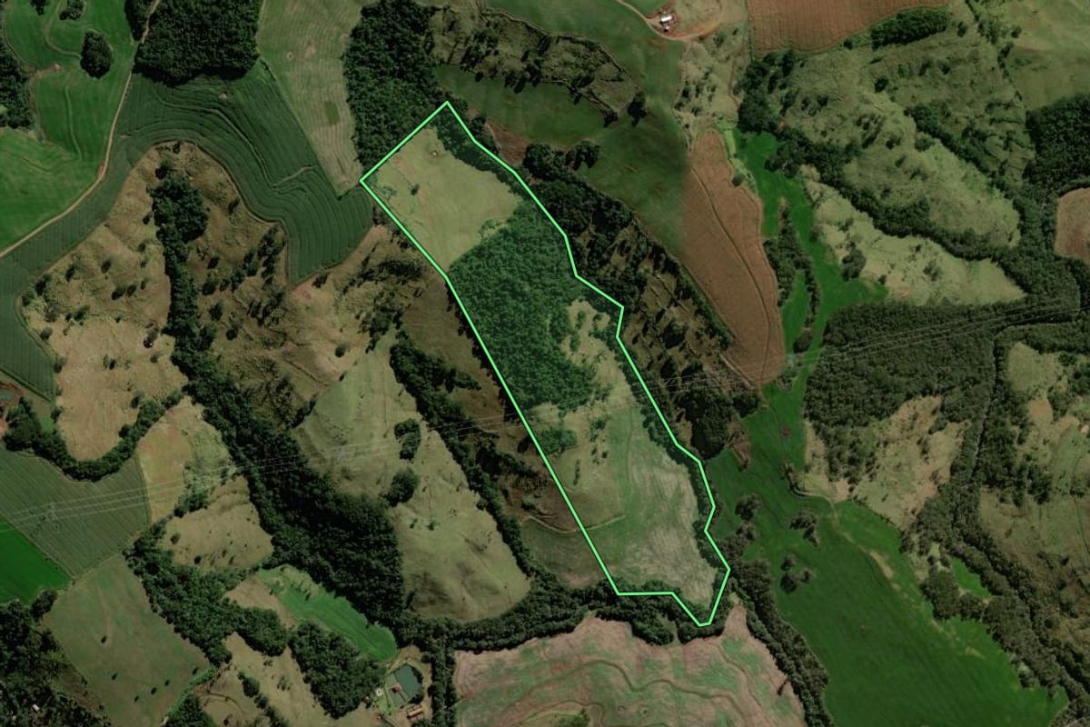 Imagem de satélite do imóvel rural em Iretama (PR), com o contorno declarado no CAR desenhado por cima.