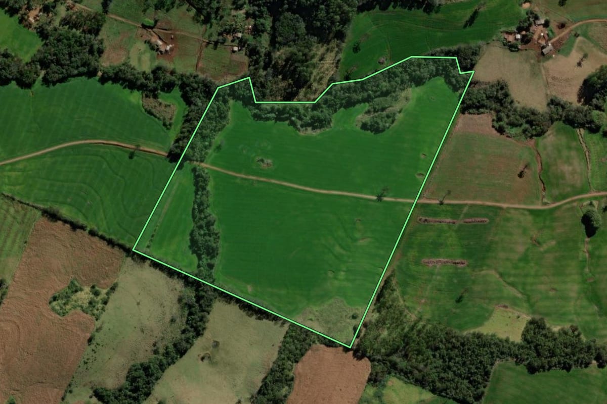 Imagem de satélite do imóvel rural em Iretama (PR), com o contorno declarado no CAR desenhado por cima.