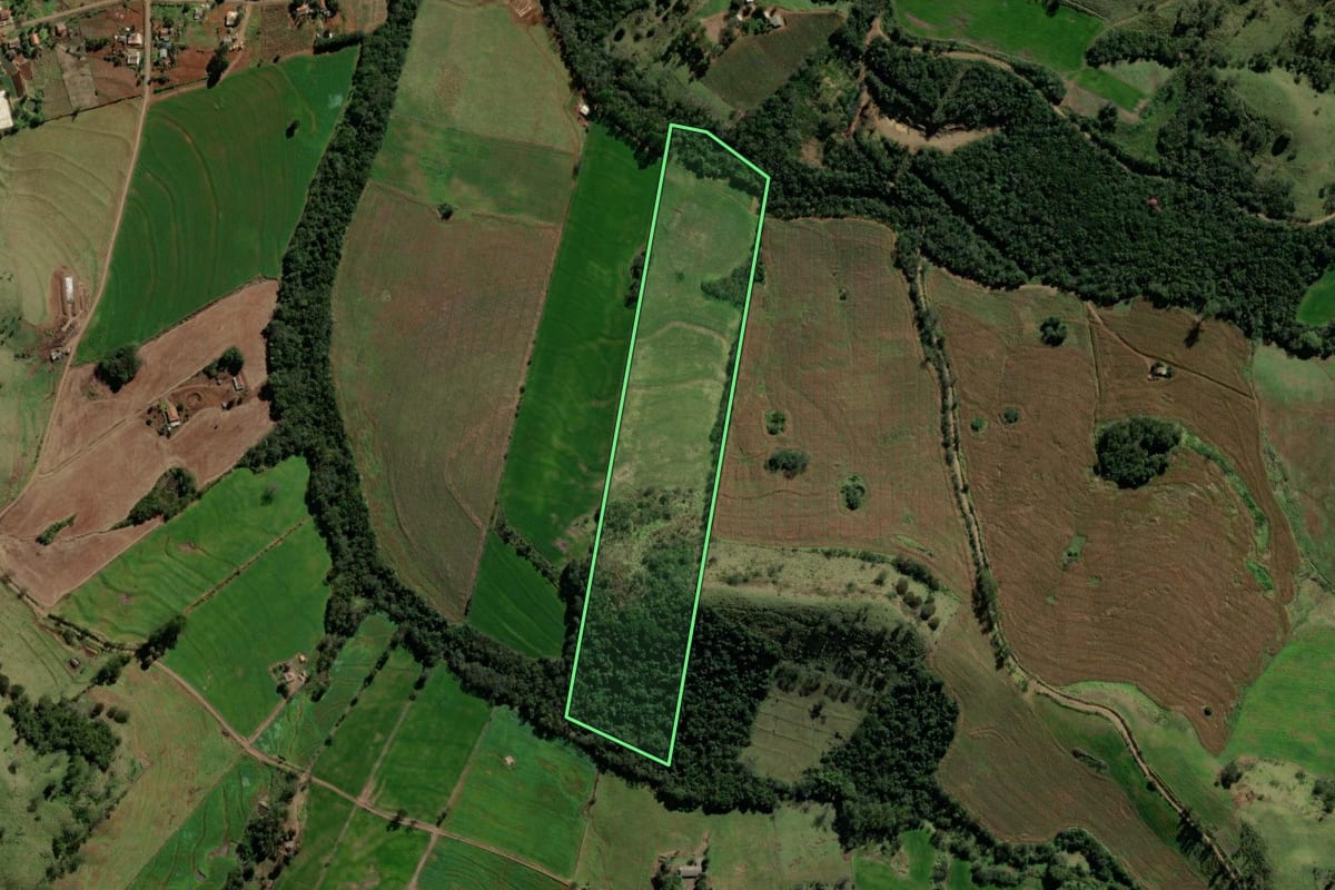Imagem de satélite do imóvel rural em Iretama (PR), com o contorno declarado no CAR desenhado por cima.