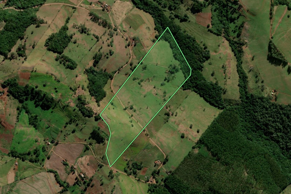 Imagem de satélite do imóvel rural em Iretama (PR), com o contorno declarado no CAR desenhado por cima.