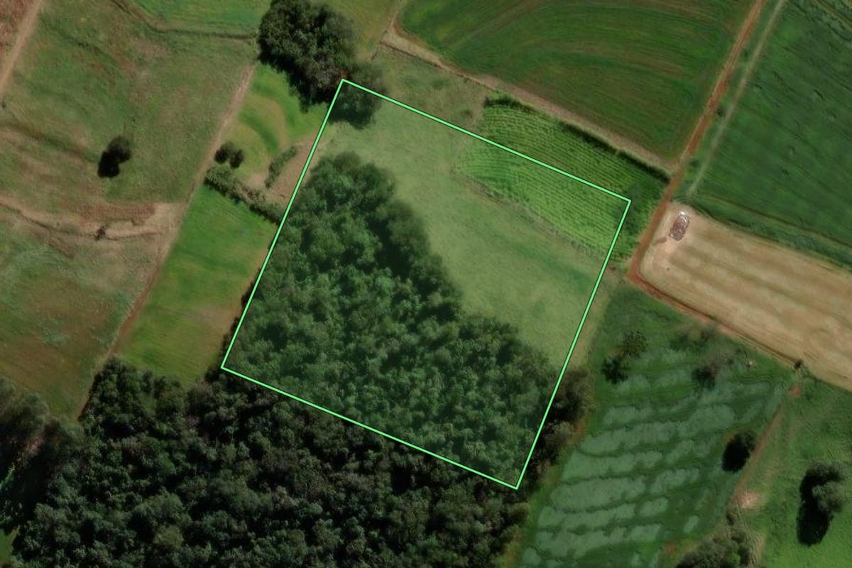 Imagem de satélite do imóvel rural em Iretama (PR), com o contorno declarado no CAR desenhado por cima.