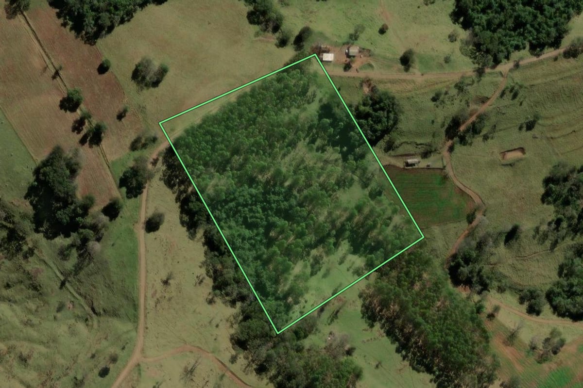 Imagem de satélite do imóvel rural em Iretama (PR), com o contorno declarado no CAR desenhado por cima.