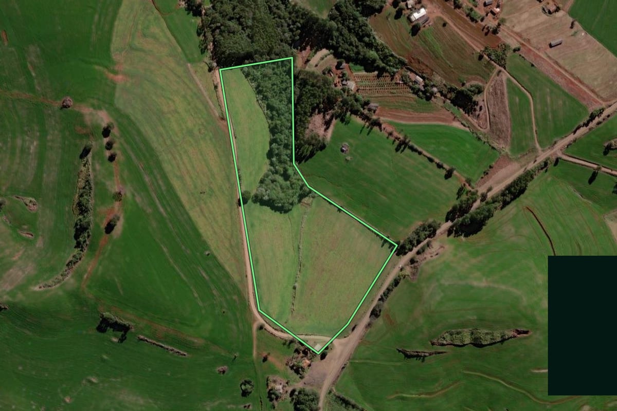 Imagem de satélite do imóvel rural em Iretama (PR), com o contorno declarado no CAR desenhado por cima.