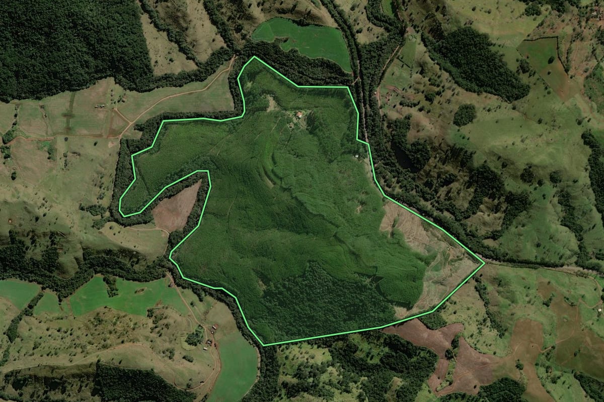 Imagem de satélite do imóvel rural em Iretama (PR), com o contorno declarado no CAR desenhado por cima.