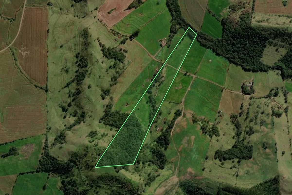 Imagem de satélite do imóvel rural em Iretama (PR), com o contorno declarado no CAR desenhado por cima.