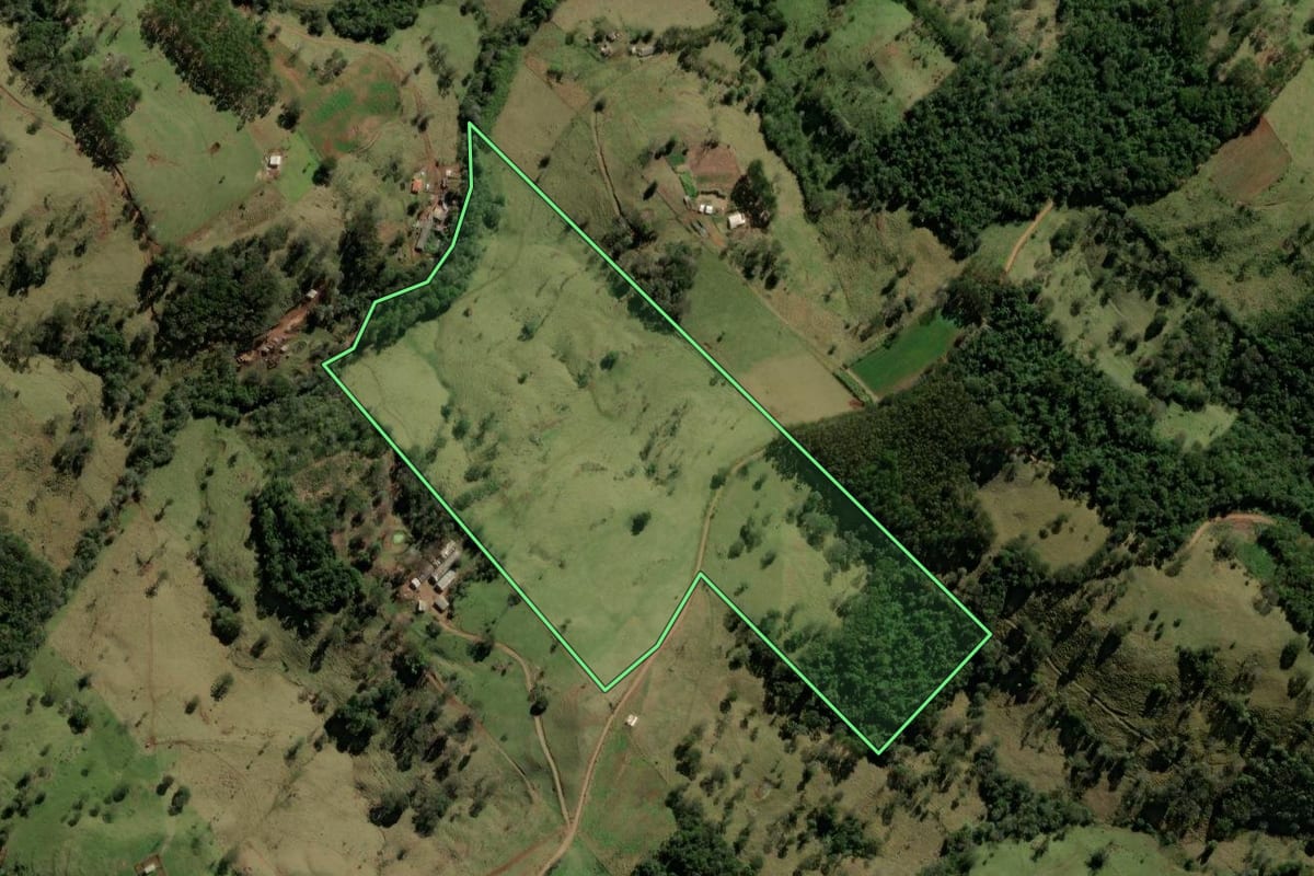 Imagem de satélite do imóvel rural em Iretama (PR), com o contorno declarado no CAR desenhado por cima.