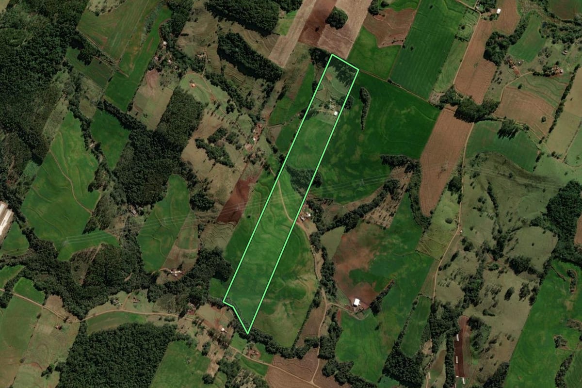 Imagem de satélite do imóvel rural em Iretama (PR), com o contorno declarado no CAR desenhado por cima.