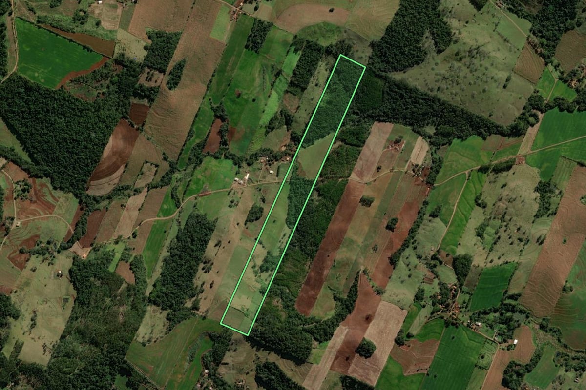 Imagem de satélite do imóvel rural em Iretama (PR), com o contorno declarado no CAR desenhado por cima.