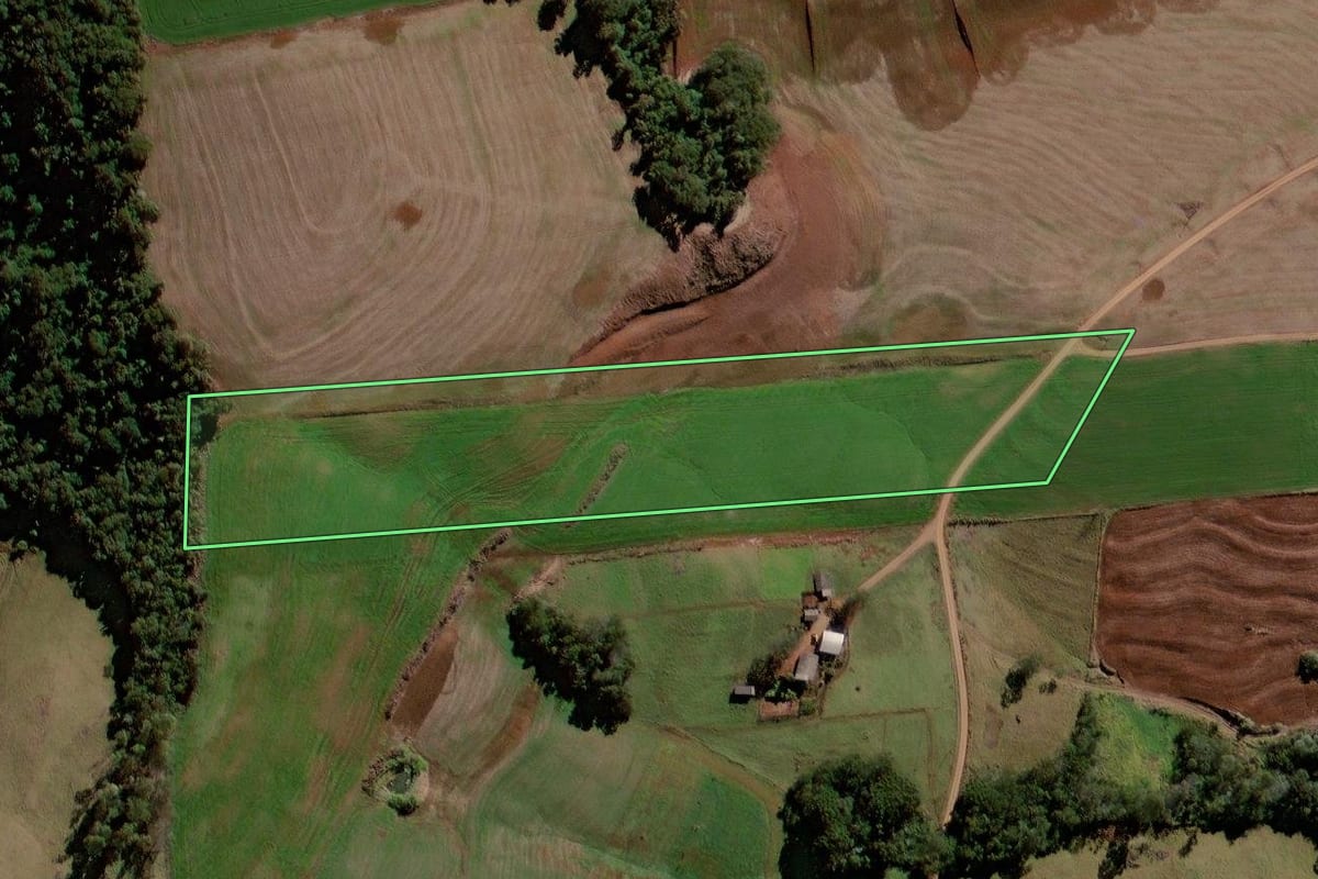 Imagem de satélite do imóvel rural em Iretama (PR), com o contorno declarado no CAR desenhado por cima.