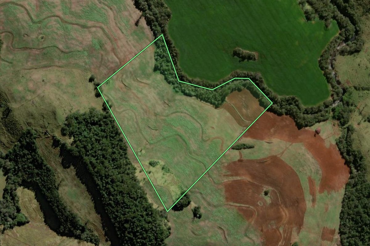 Imagem de satélite do imóvel rural em Iretama (PR), com o contorno declarado no CAR desenhado por cima.
