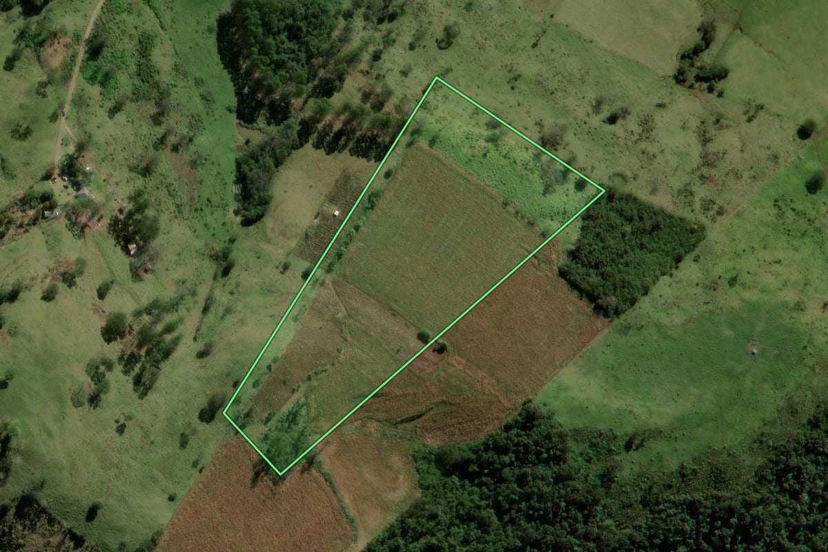 Imagem de satélite do imóvel rural em Iretama (PR), com o contorno declarado no CAR desenhado por cima.