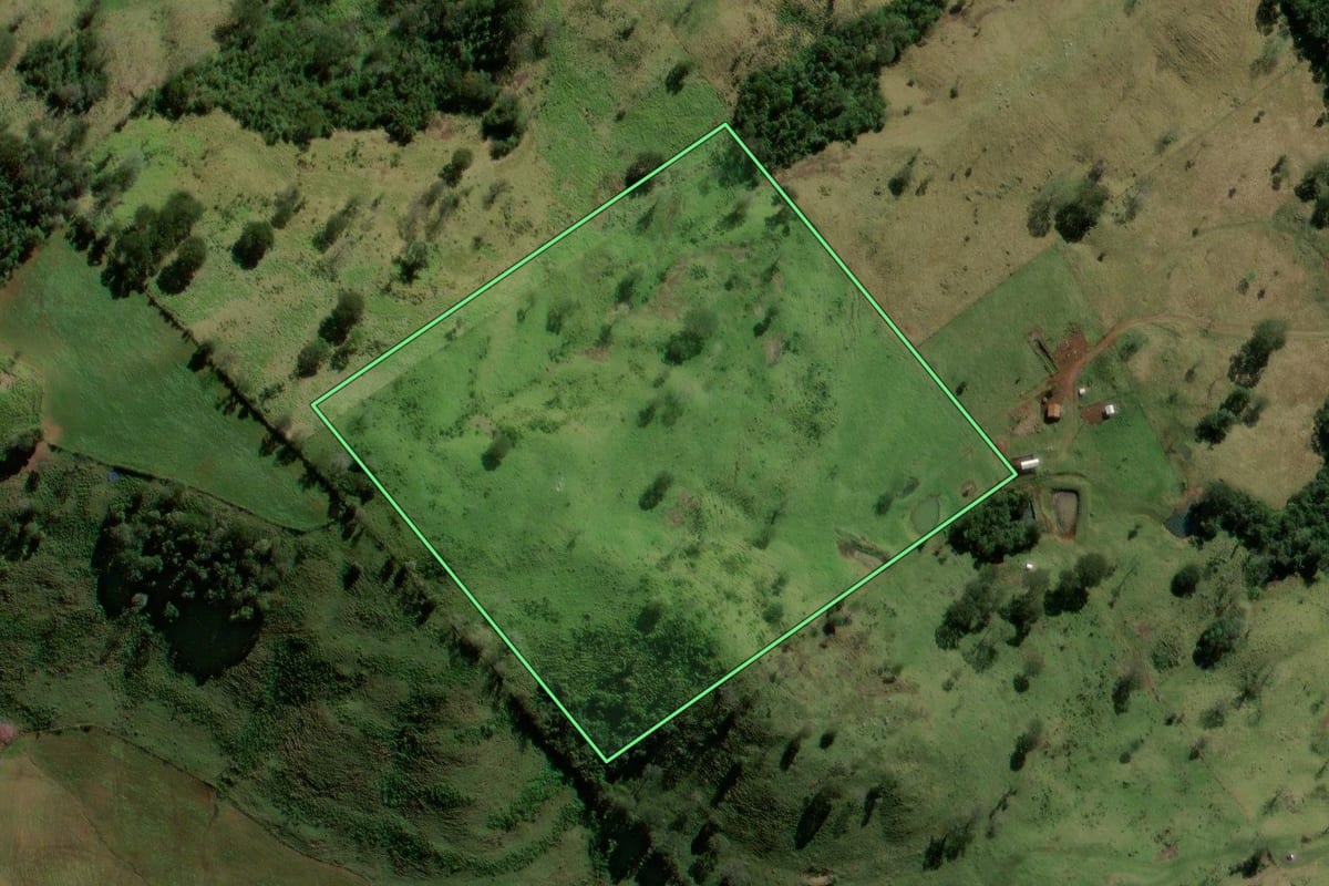 Imagem de satélite do imóvel rural em Iretama (PR), com o contorno declarado no CAR desenhado por cima.