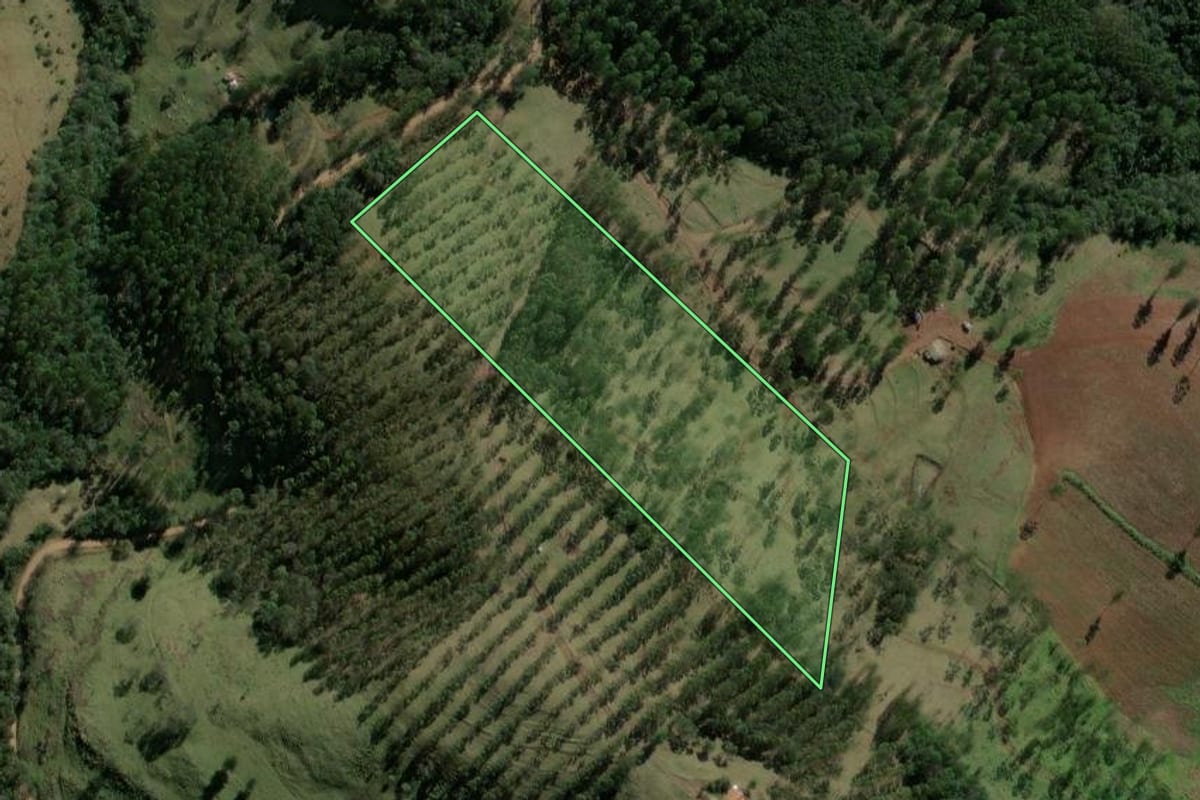 Imagem de satélite do imóvel rural em Iretama (PR), com o contorno declarado no CAR desenhado por cima.