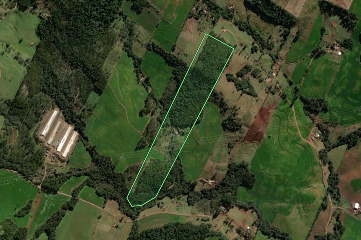 Imagem de satélite do imóvel rural em Iretama (PR), com o contorno declarado no CAR desenhado por cima.