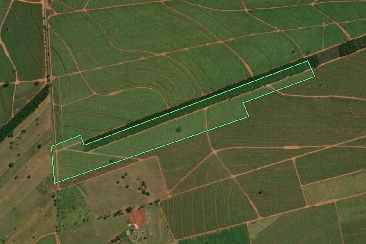 Imagem de satélite do imóvel rural em Itaguajé (PR), com o contorno declarado no CAR desenhado por cima.