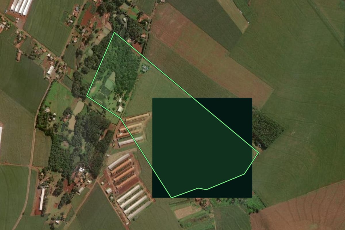 Imagem de satélite do imóvel rural em Itaipulândia (PR), com o contorno declarado no CAR desenhado por cima.
