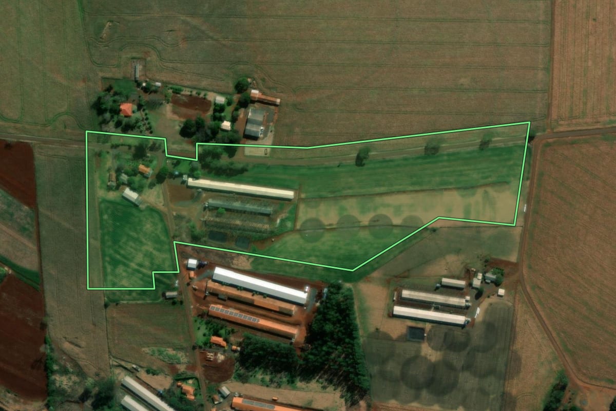 Imagem de satélite do imóvel rural em Itaipulândia (PR), com o contorno declarado no CAR desenhado por cima.