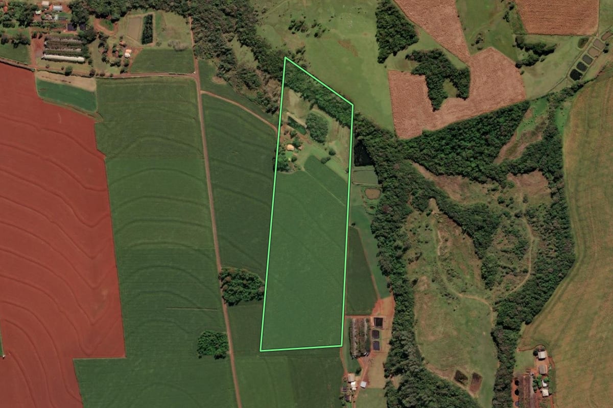 Imagem de satélite do imóvel rural em Itaipulândia (PR), com o contorno declarado no CAR desenhado por cima.