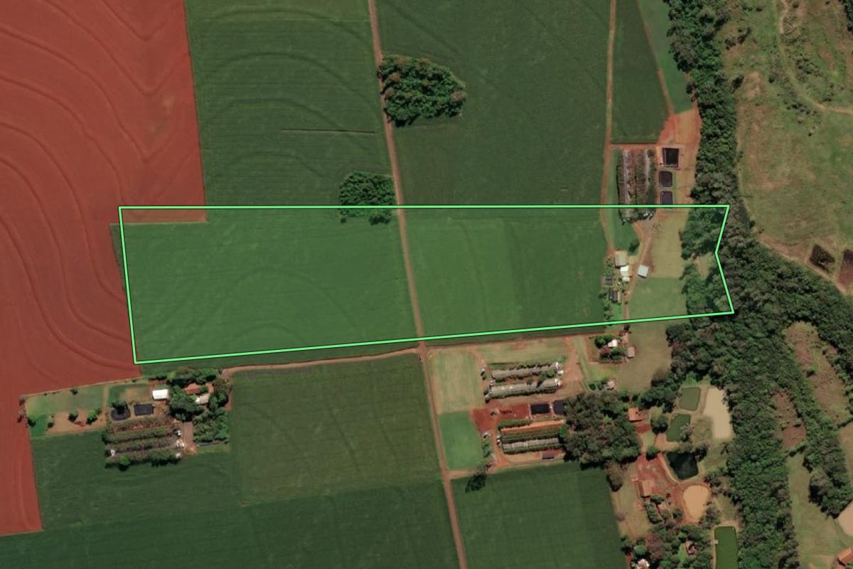 Imagem de satélite do imóvel rural em Itaipulândia (PR), com o contorno declarado no CAR desenhado por cima.