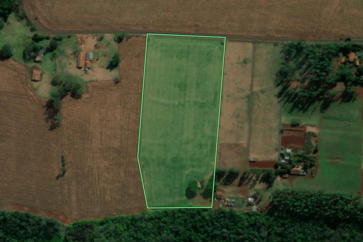 Imagem de satélite do imóvel rural em Itaipulândia (PR), com o contorno declarado no CAR desenhado por cima.