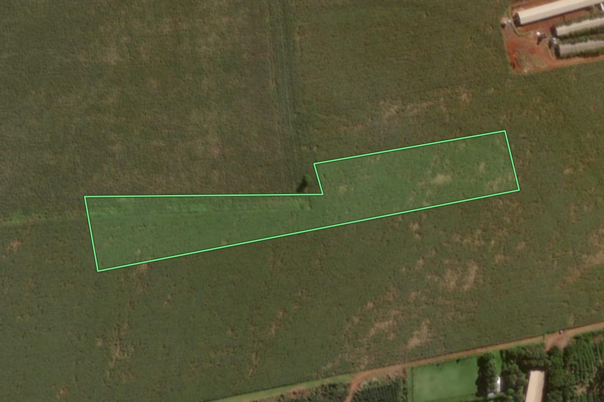 Imagem de satélite do imóvel rural em Itaipulândia (PR), com o contorno declarado no CAR desenhado por cima.