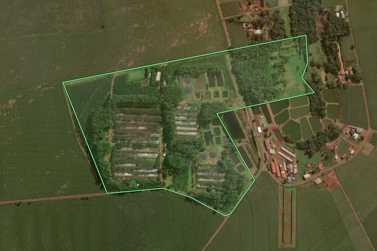 Imagem de satélite do imóvel rural em Itaipulândia (PR), com o contorno declarado no CAR desenhado por cima.