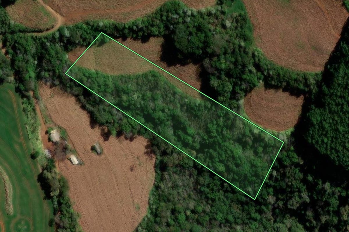 Imagem de satélite do imóvel rural em Itapejara d'Oeste (PR), com o contorno declarado no CAR desenhado por cima.
