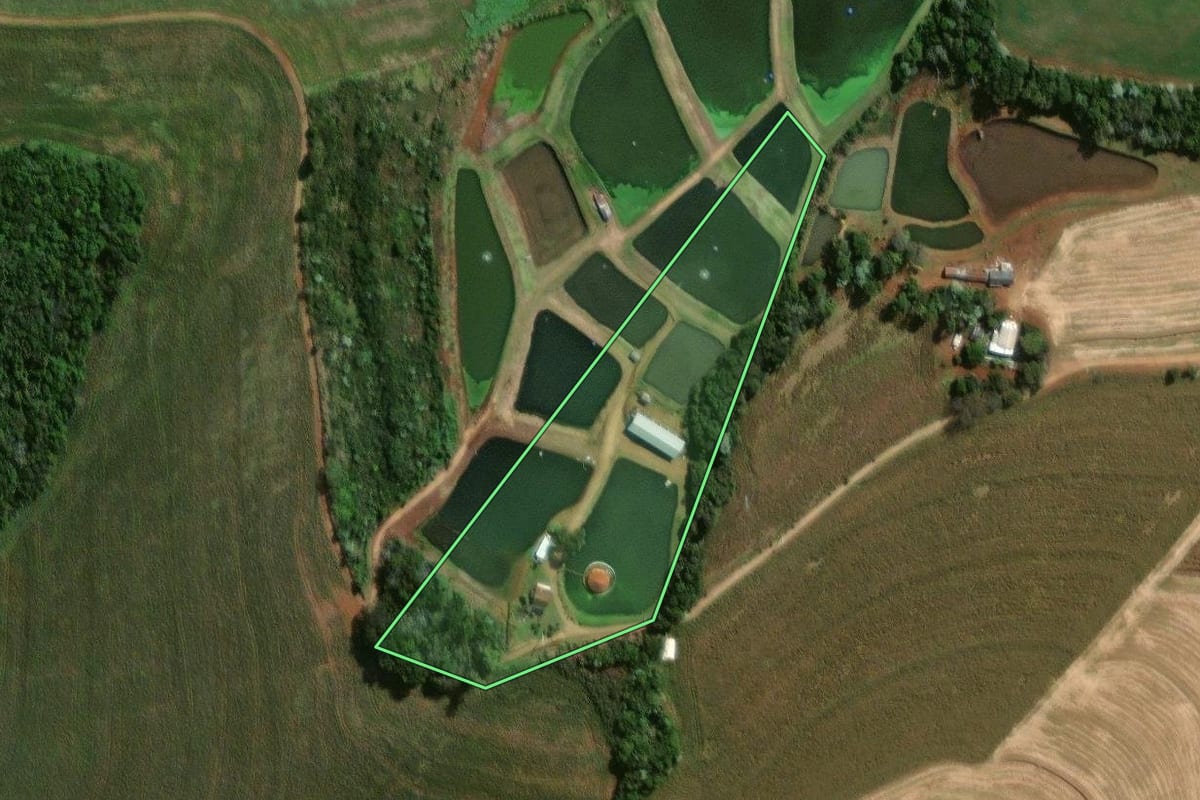 Imagem de satélite do imóvel rural em Itapejara d'Oeste (PR), com o contorno declarado no CAR desenhado por cima.