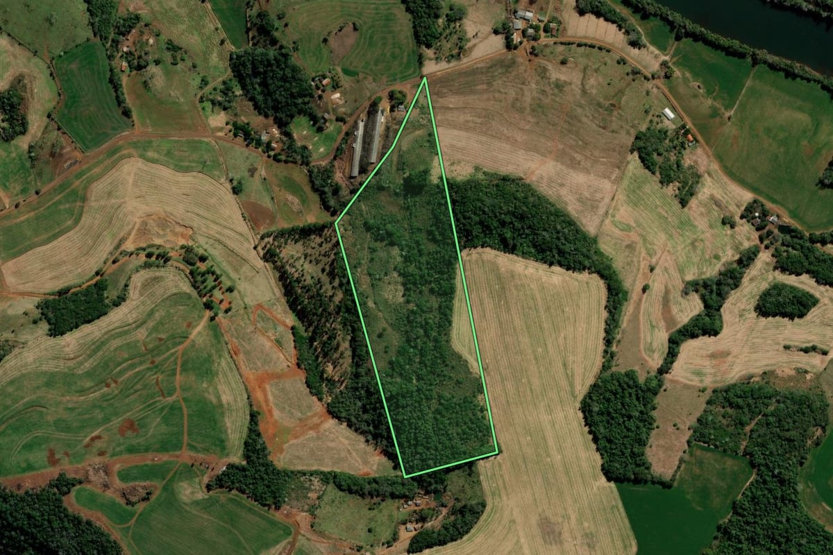 Imagem de satélite do imóvel rural em Itapejara d'Oeste (PR), com o contorno declarado no CAR desenhado por cima.