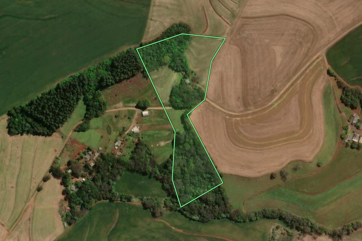 Imagem de satélite do imóvel rural em Itapejara d'Oeste (PR), com o contorno declarado no CAR desenhado por cima.