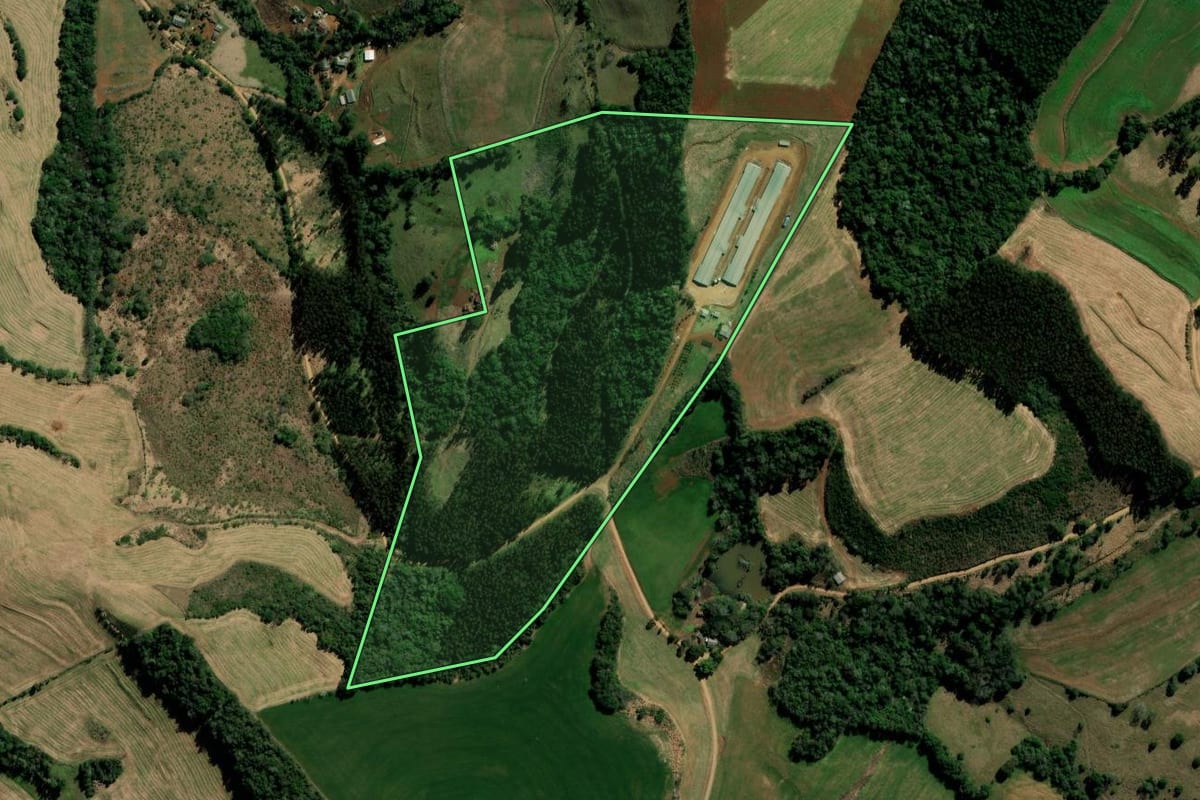 Imagem de satélite do imóvel rural em Itapejara d'Oeste (PR), com o contorno declarado no CAR desenhado por cima.