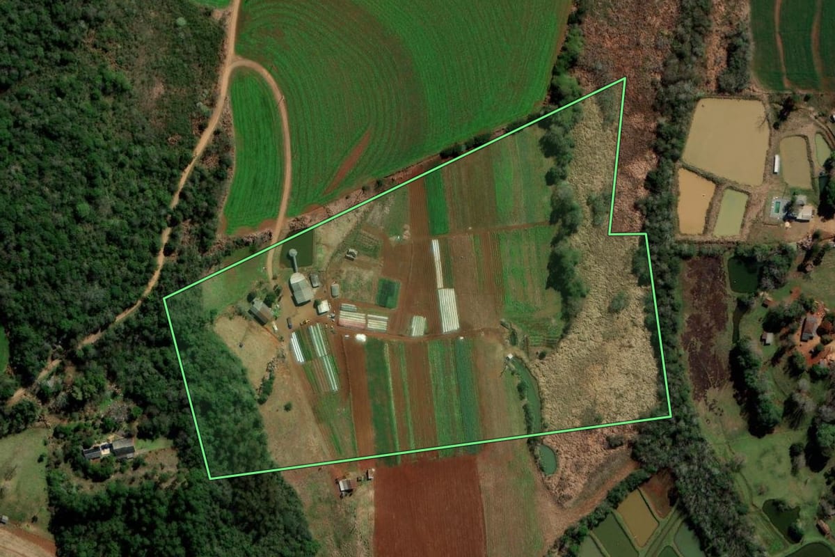 Imagem de satélite do imóvel rural em Itapejara d'Oeste (PR), com o contorno declarado no CAR desenhado por cima.