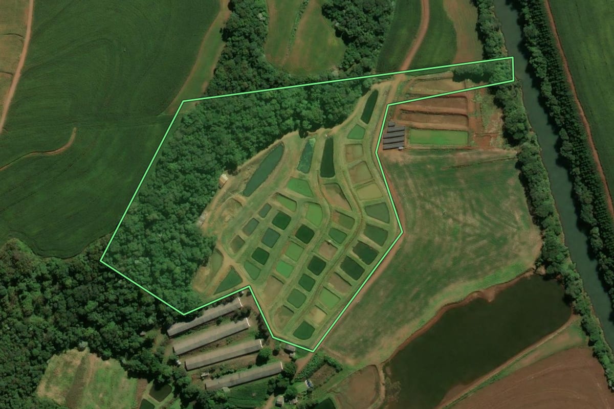 Imagem de satélite do imóvel rural em Itapejara d'Oeste (PR), com o contorno declarado no CAR desenhado por cima.