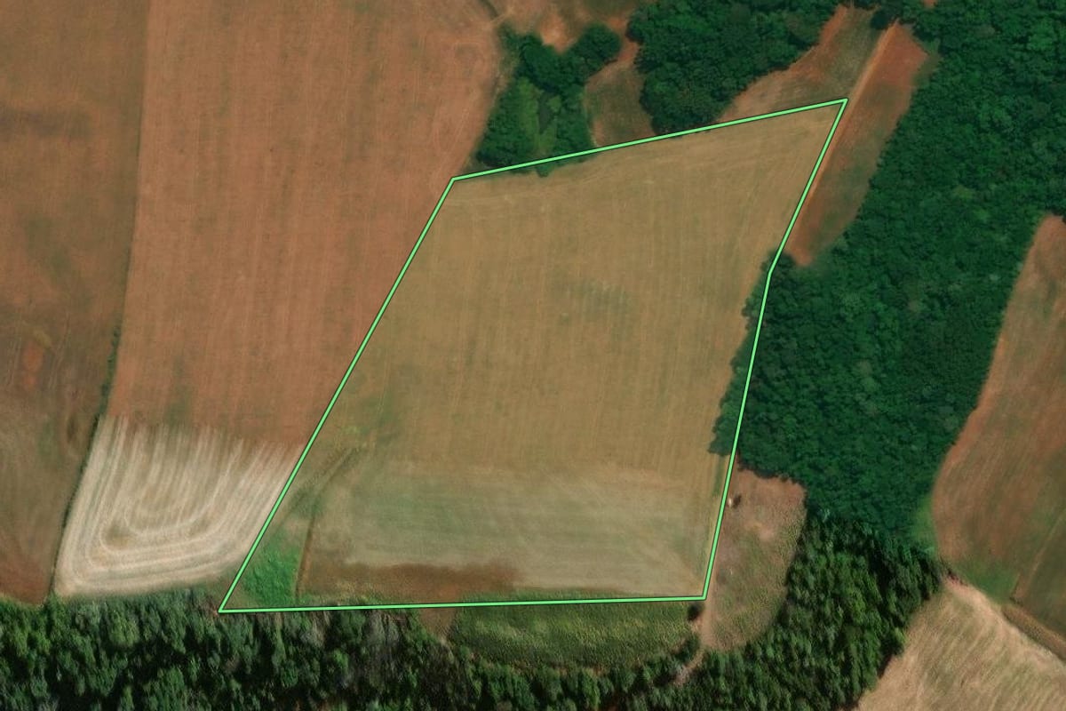 Imagem de satélite do imóvel rural em Itapejara d'Oeste (PR), com o contorno declarado no CAR desenhado por cima.