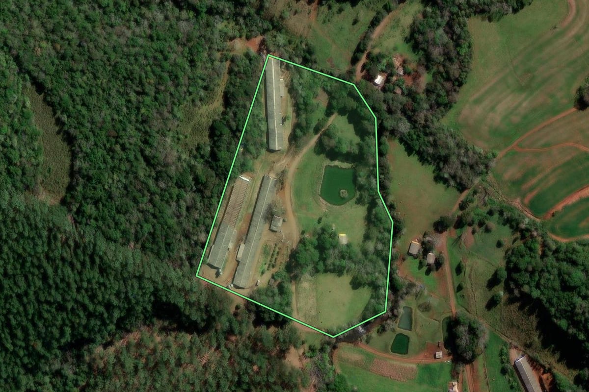 Imagem de satélite do imóvel rural em Itapejara d'Oeste (PR), com o contorno declarado no CAR desenhado por cima.