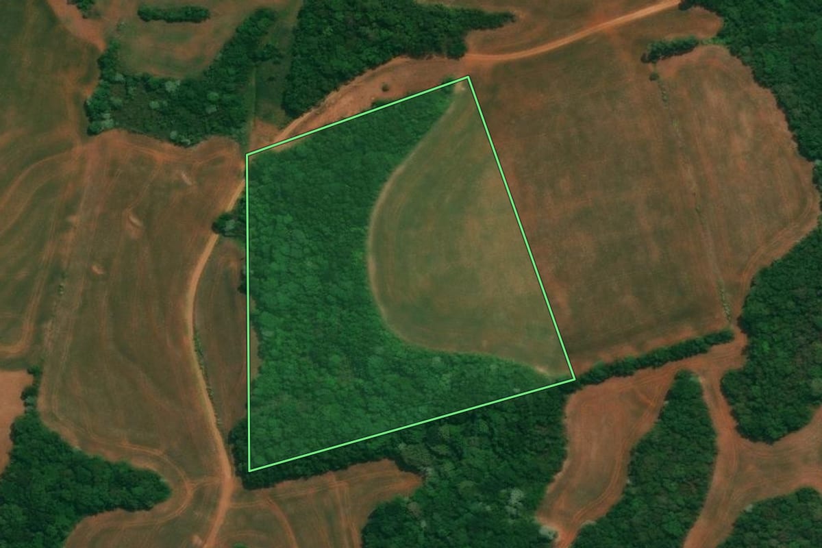 Imagem de satélite do imóvel rural em Itapejara d'Oeste (PR), com o contorno declarado no CAR desenhado por cima.