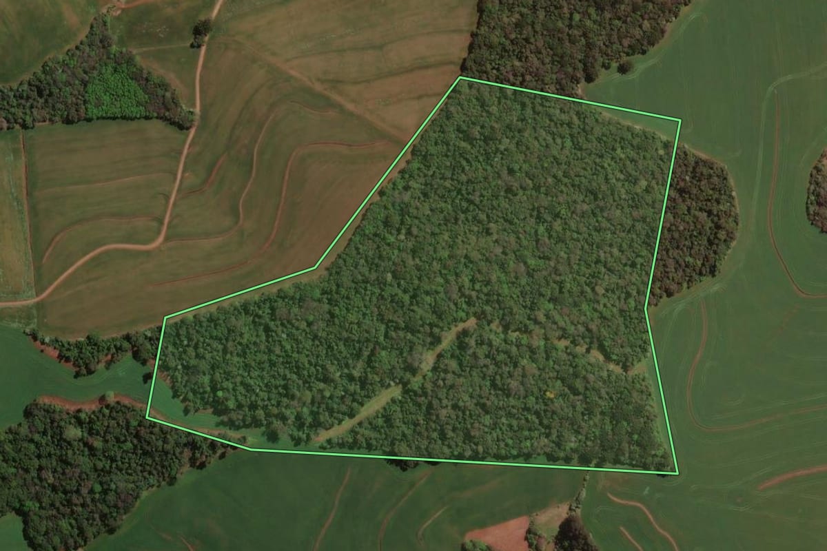 Imagem de satélite do imóvel rural em Itapejara d'Oeste (PR), com o contorno declarado no CAR desenhado por cima.
