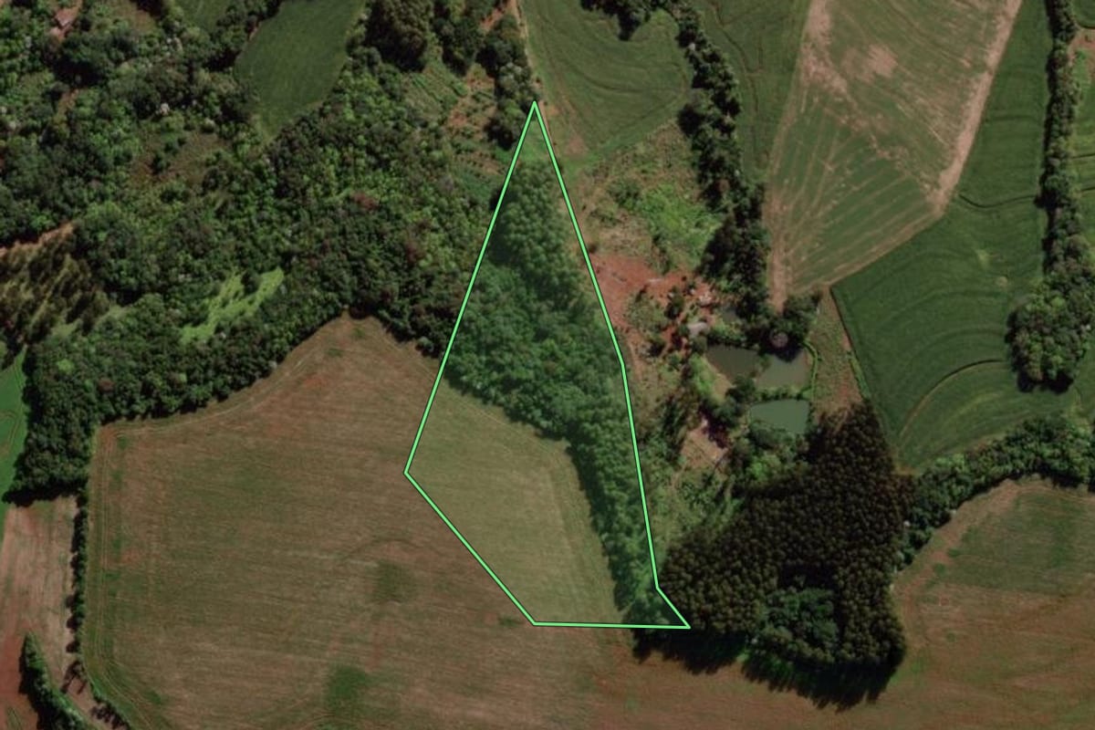 Imagem de satélite do imóvel rural em Itapejara d'Oeste (PR), com o contorno declarado no CAR desenhado por cima.