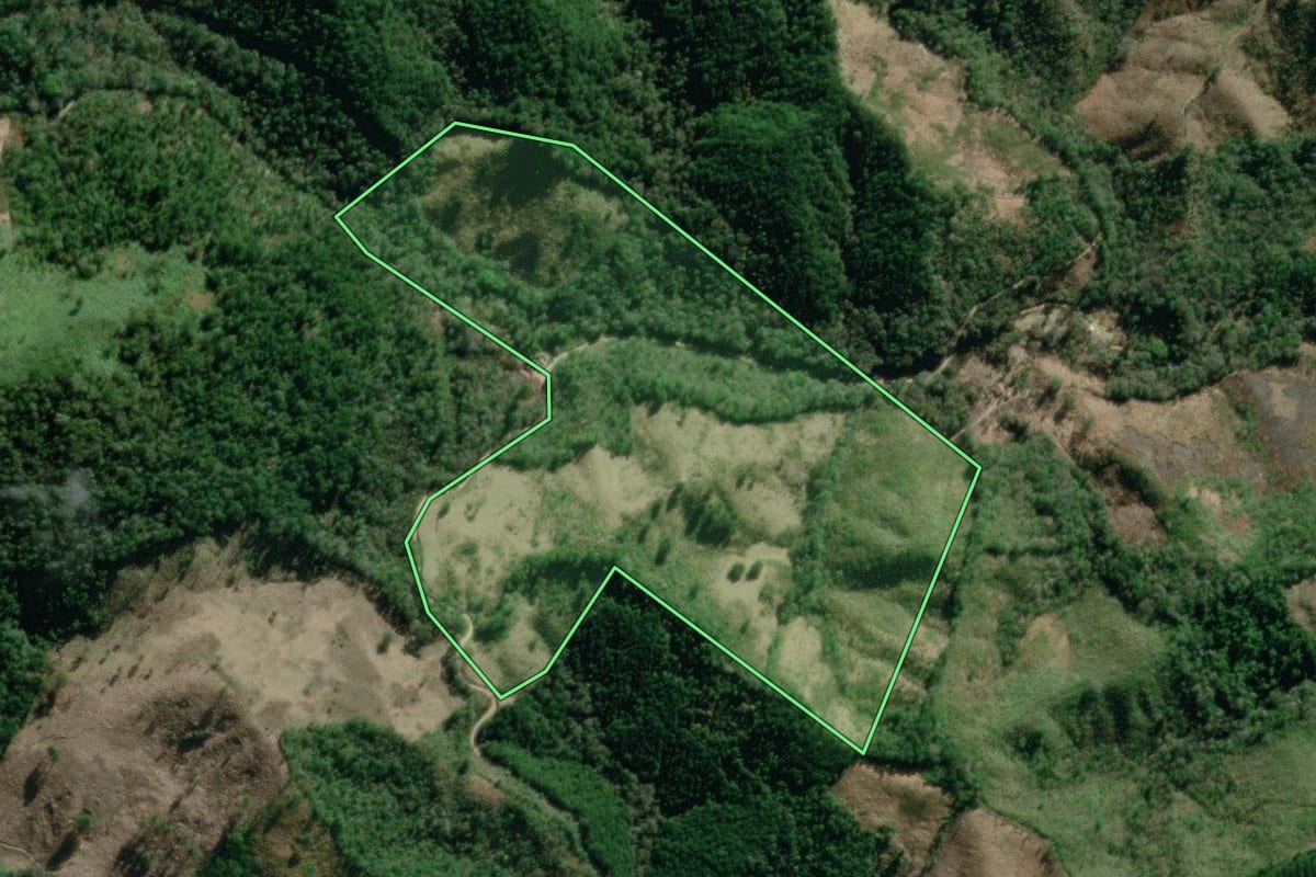 Imagem de satélite do imóvel rural em Itaperuçu (PR), com o contorno declarado no CAR desenhado por cima.