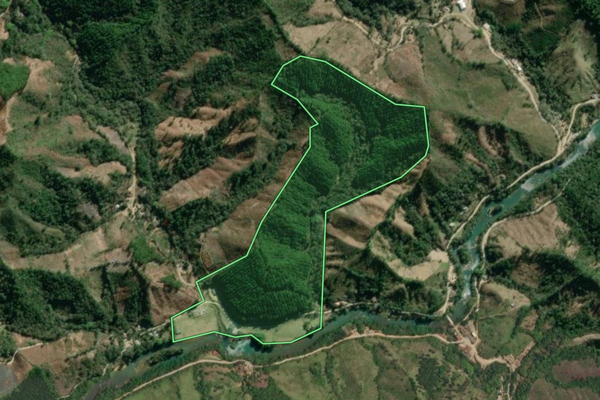 Imagem de satélite do imóvel rural em Itaperuçu (PR), com o contorno declarado no CAR desenhado por cima.