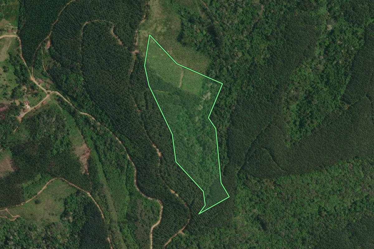 Imagem de satélite do imóvel rural em Itaperuçu (PR), com o contorno declarado no CAR desenhado por cima.