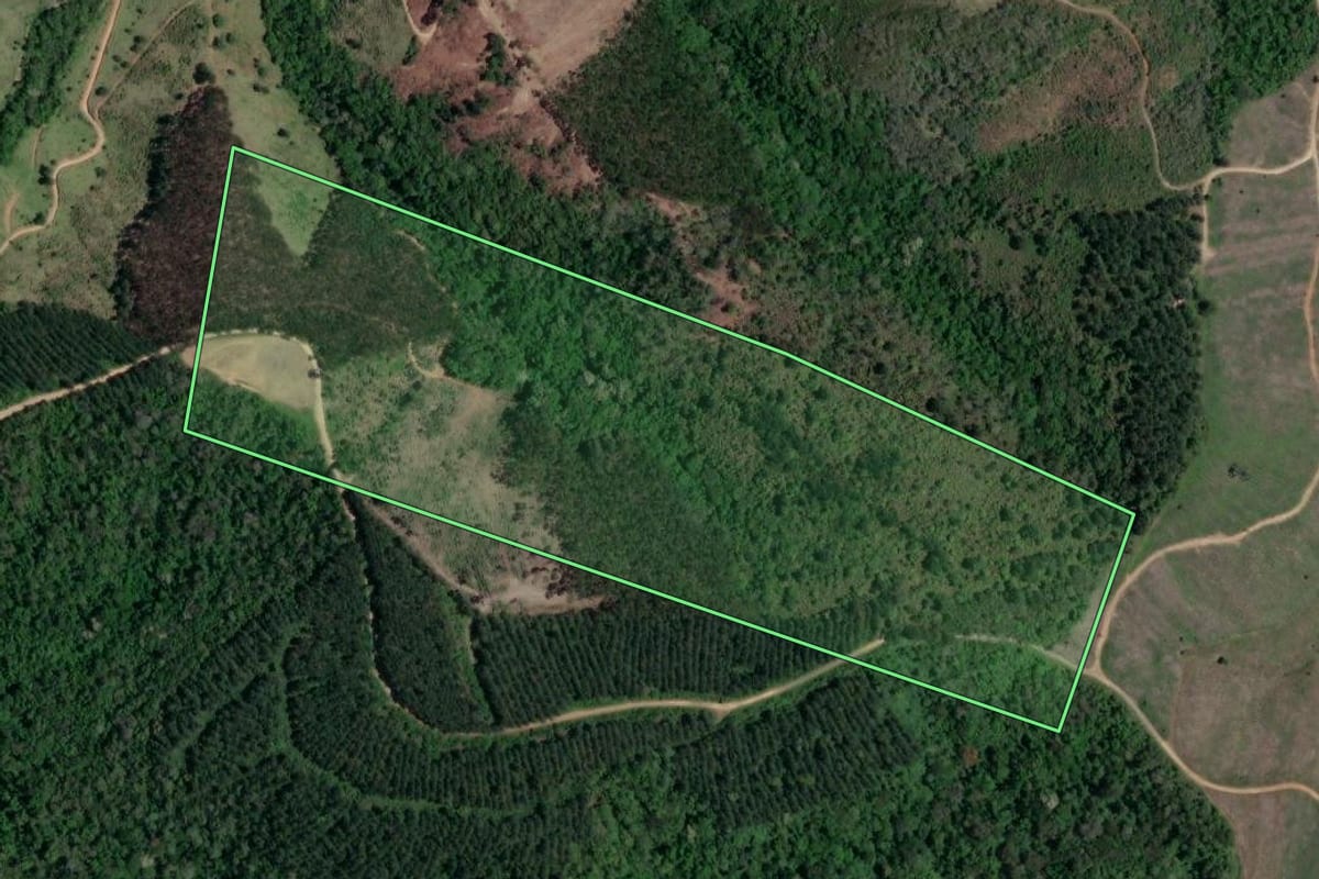 Imagem de satélite do imóvel rural em Itaperuçu (PR), com o contorno declarado no CAR desenhado por cima.
