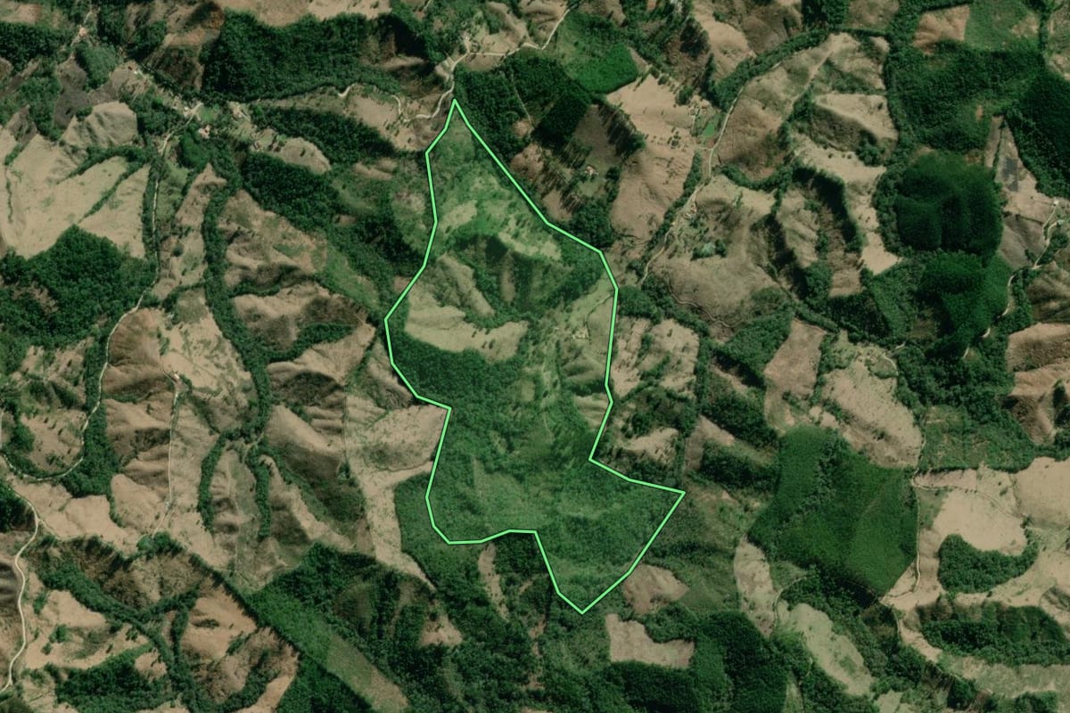 Imagem de satélite do imóvel rural em Itaperuçu (PR), com o contorno declarado no CAR desenhado por cima.