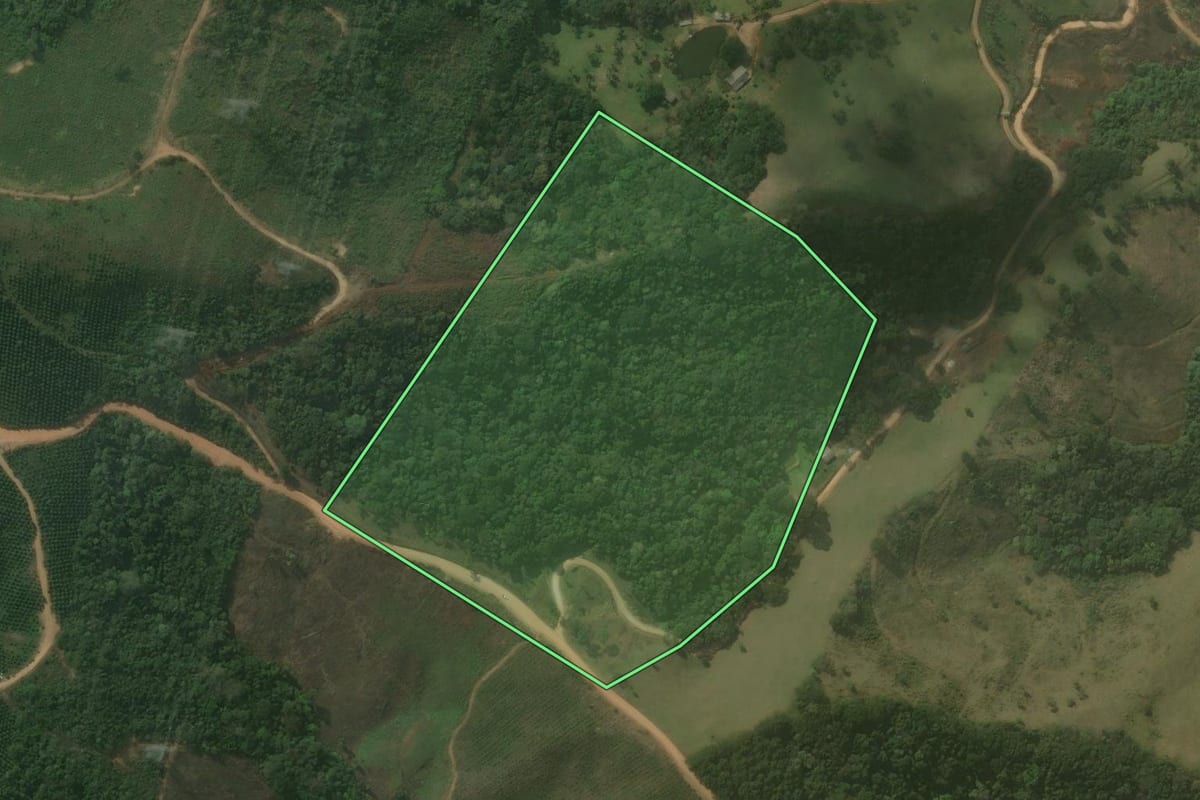 Imagem de satélite do imóvel rural em Itaperuçu (PR), com o contorno declarado no CAR desenhado por cima.