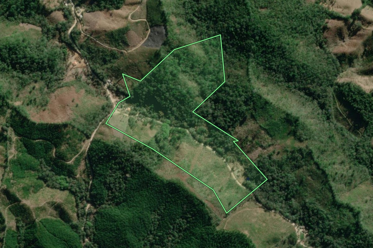 Imagem de satélite do imóvel rural em Itaperuçu (PR), com o contorno declarado no CAR desenhado por cima.