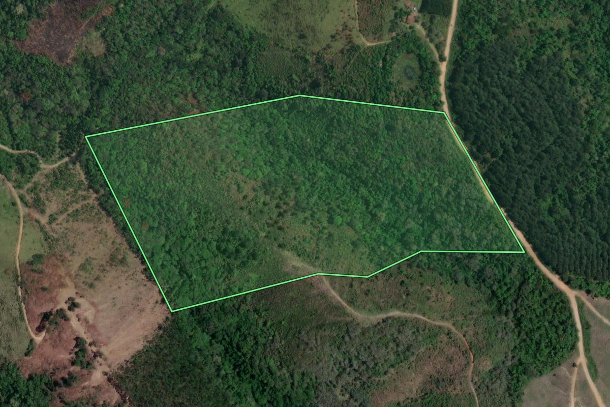 Imagem de satélite do imóvel rural em Itaperuçu (PR), com o contorno declarado no CAR desenhado por cima.