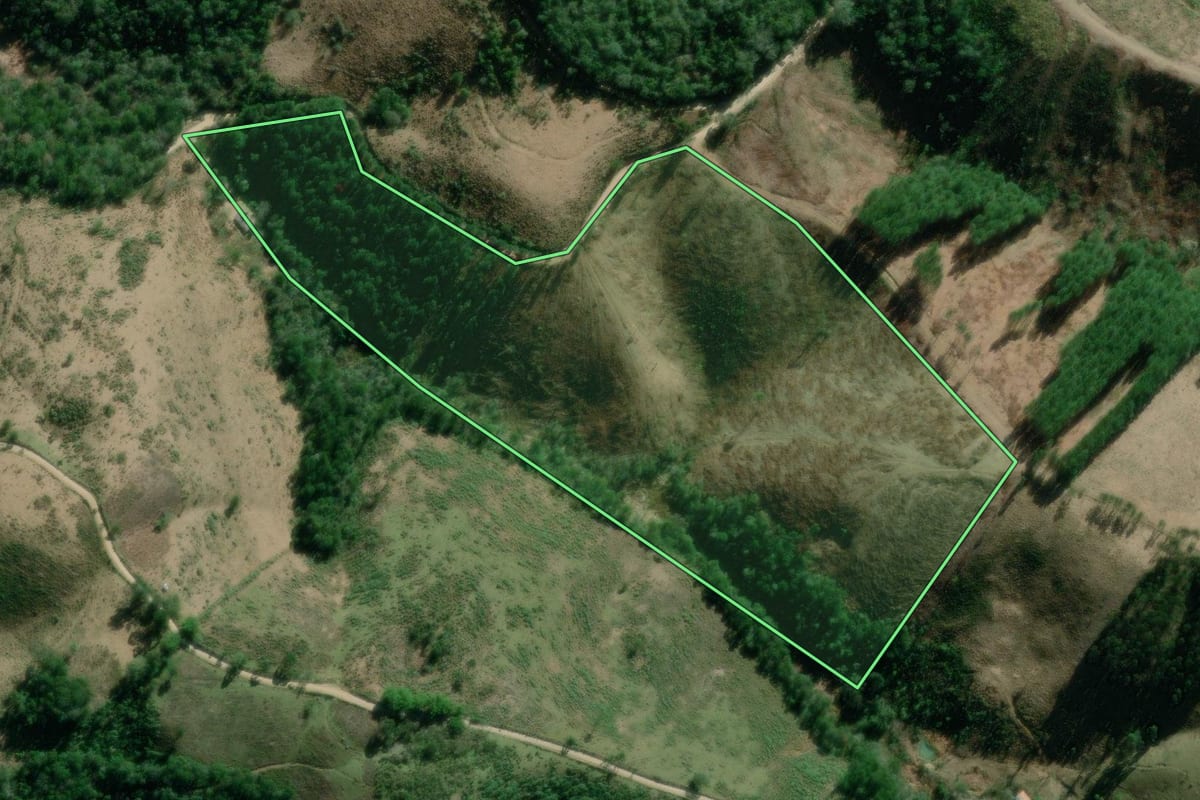 Imagem de satélite do imóvel rural em Itaperuçu (PR), com o contorno declarado no CAR desenhado por cima.