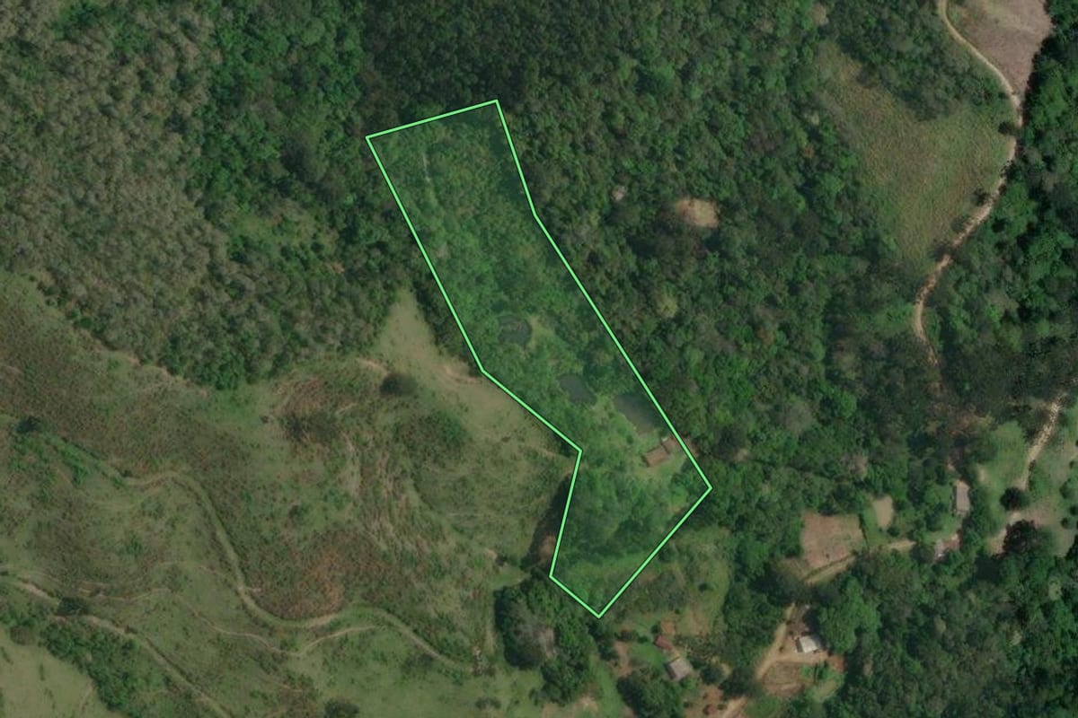 Imagem de satélite do imóvel rural em Itaperuçu (PR), com o contorno declarado no CAR desenhado por cima.